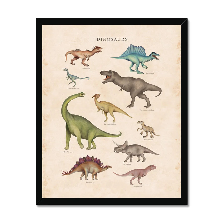 Vintage Dinosaurs Framed Print - 16x20