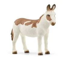 American Spotted Donkey