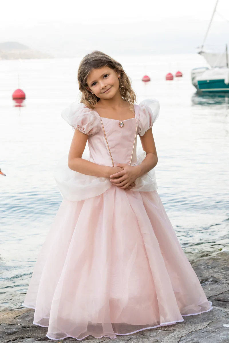 Antique Princess Pink Gown
