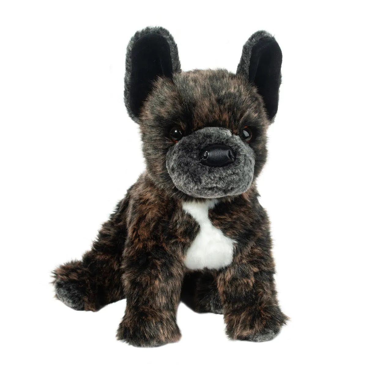 Billie The French Bulldog