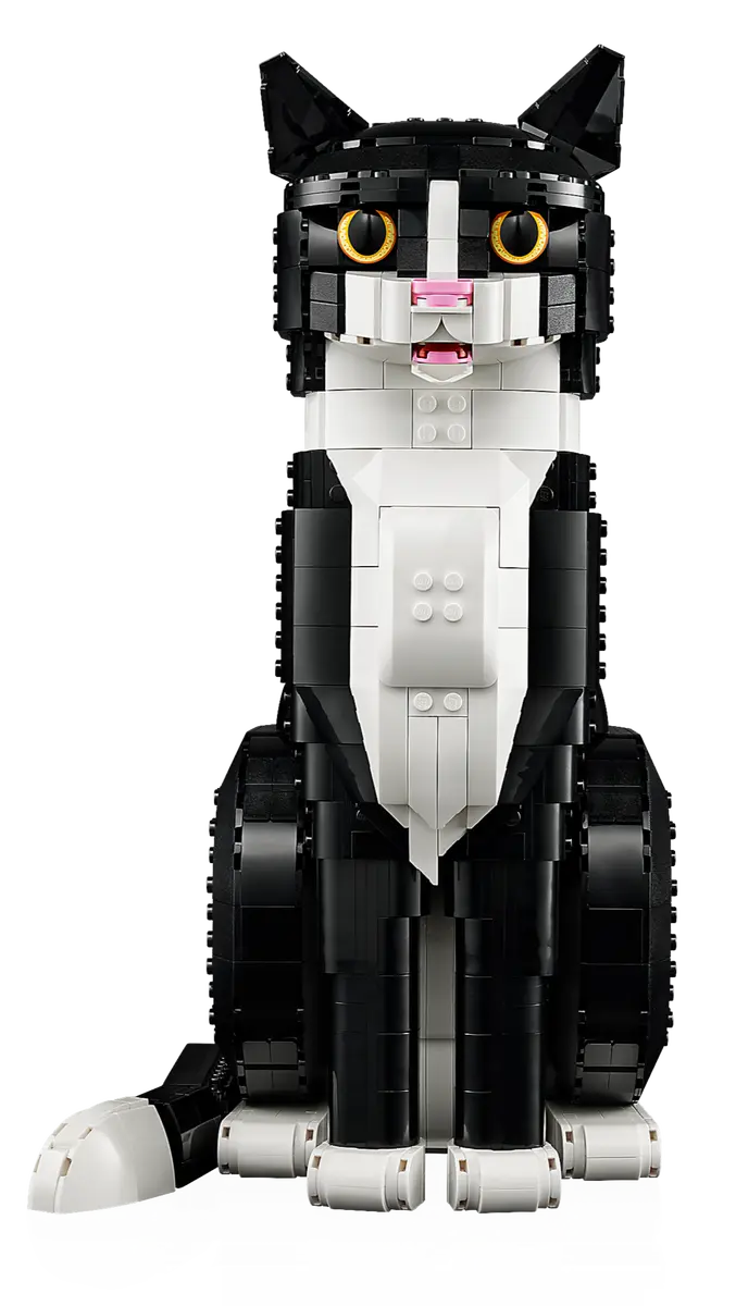TUXEDO CAT 21349
