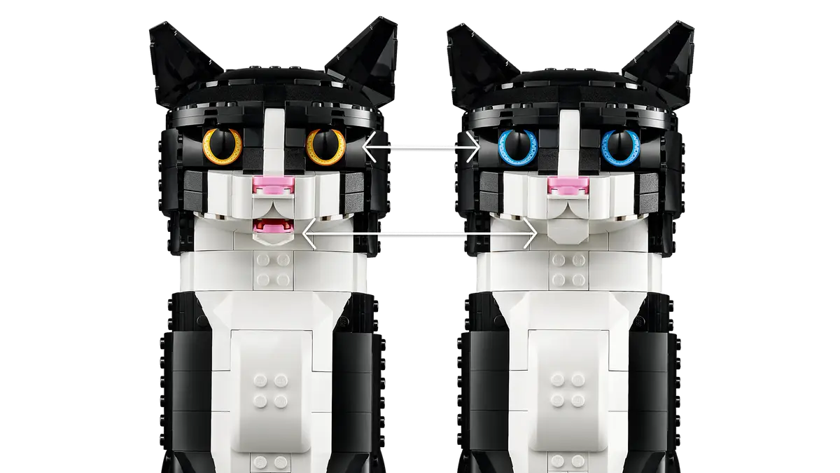 TUXEDO CAT 21349