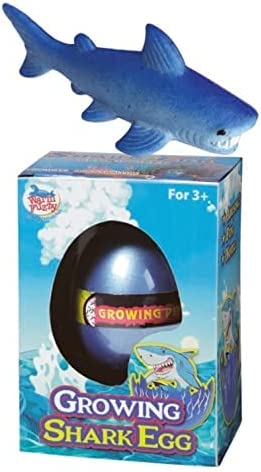 Shark Egg toy