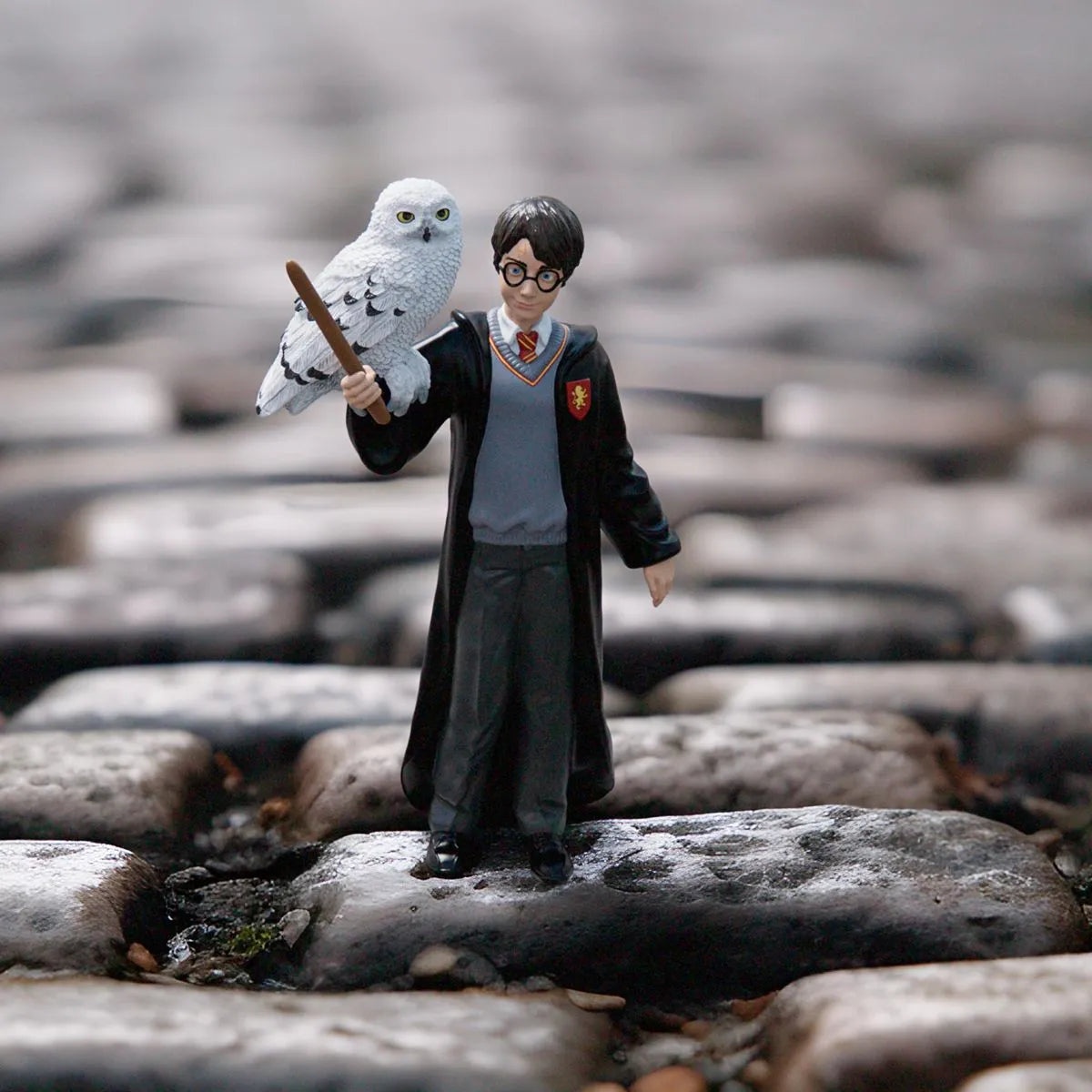 Harry and Hedwig