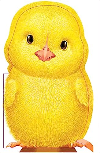 FURRY CHICK