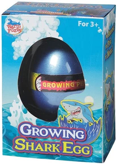 Shark Egg toy