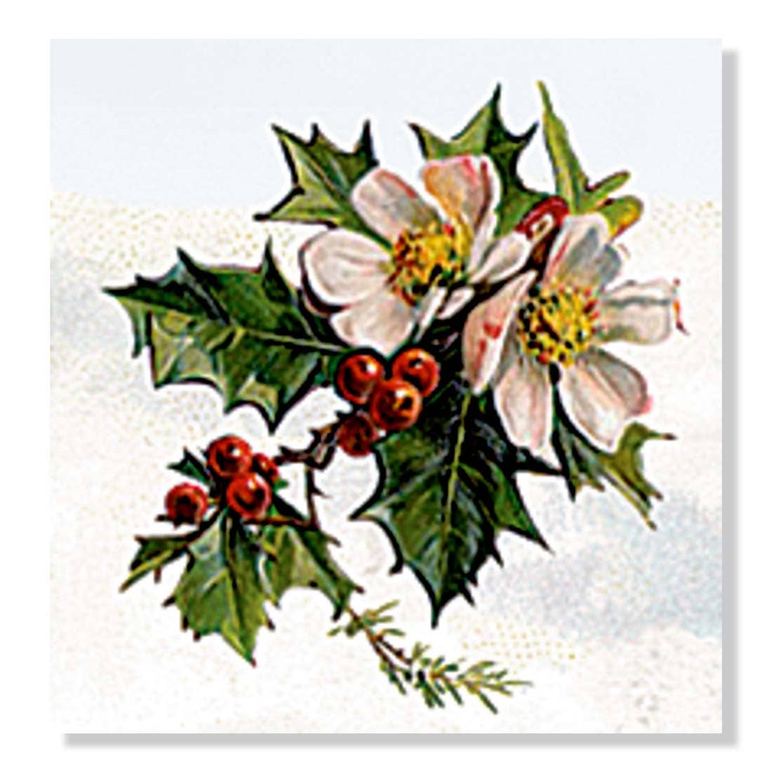 Festive Wildlife Wreath Christmas Advent Calendar