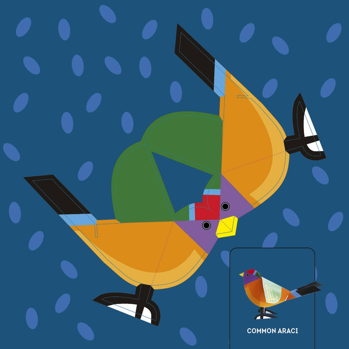 Birds: Fold &amp; Play
