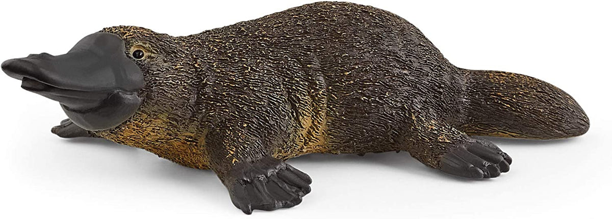 PLATYPUS