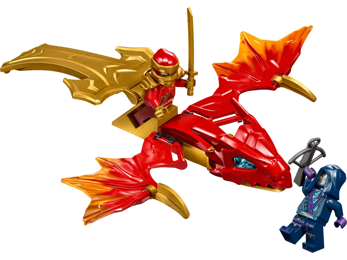 Dragon sales lego friends