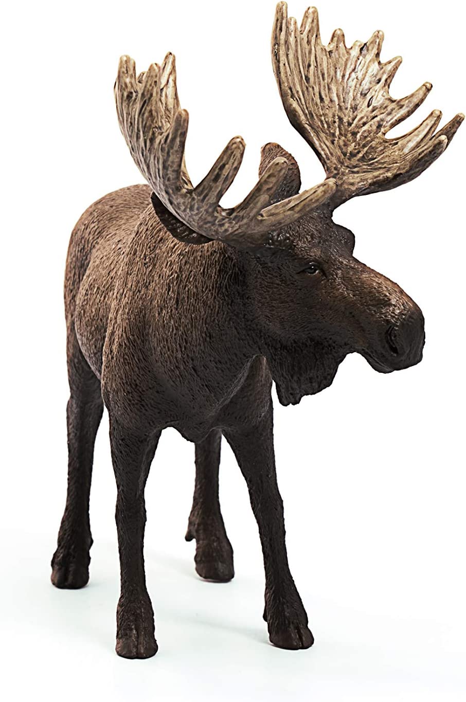 Moose Bull