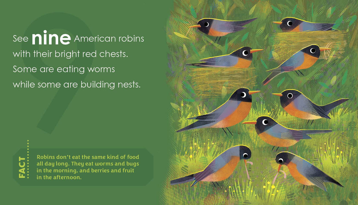 Birding For Babies: Backyard Birds A Numbers Book