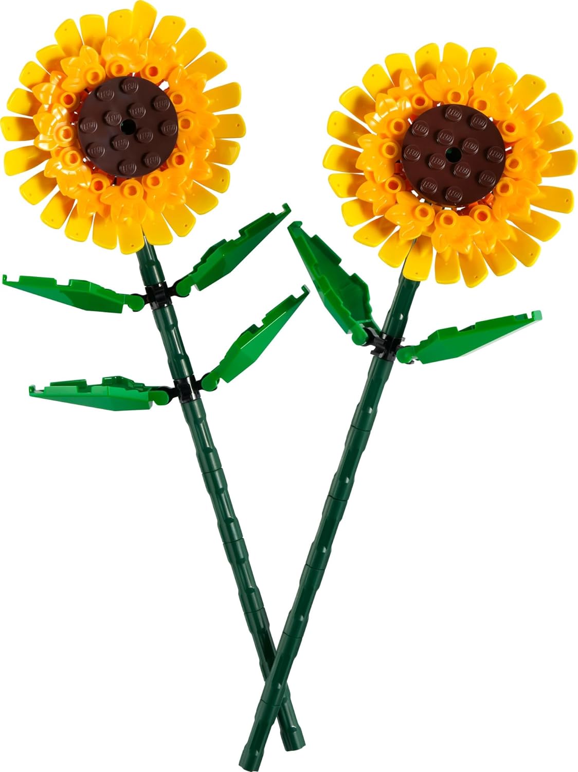 BOTANICAL COLLECTION 40524: Sunflowers