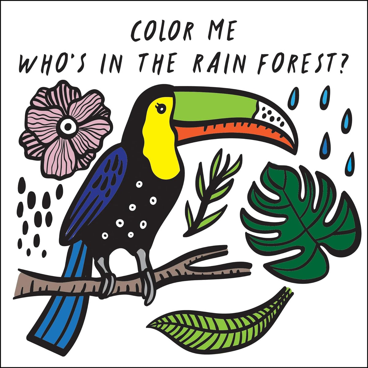 Color Me: Who’s In The Rain Forest