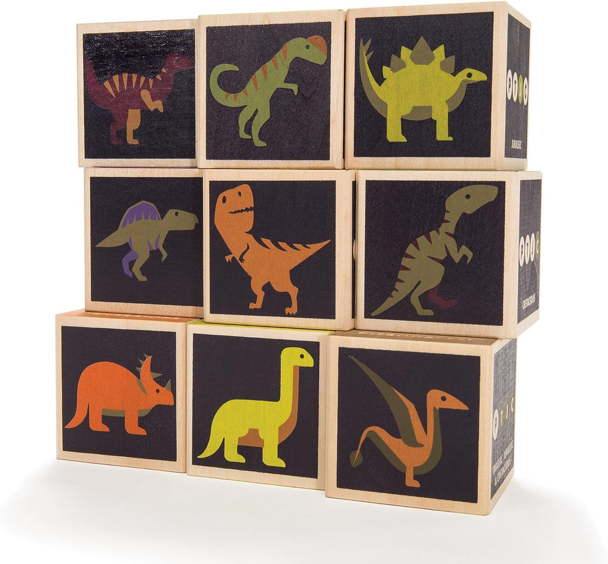 Dinosaur Wooden Blocks 9 pc