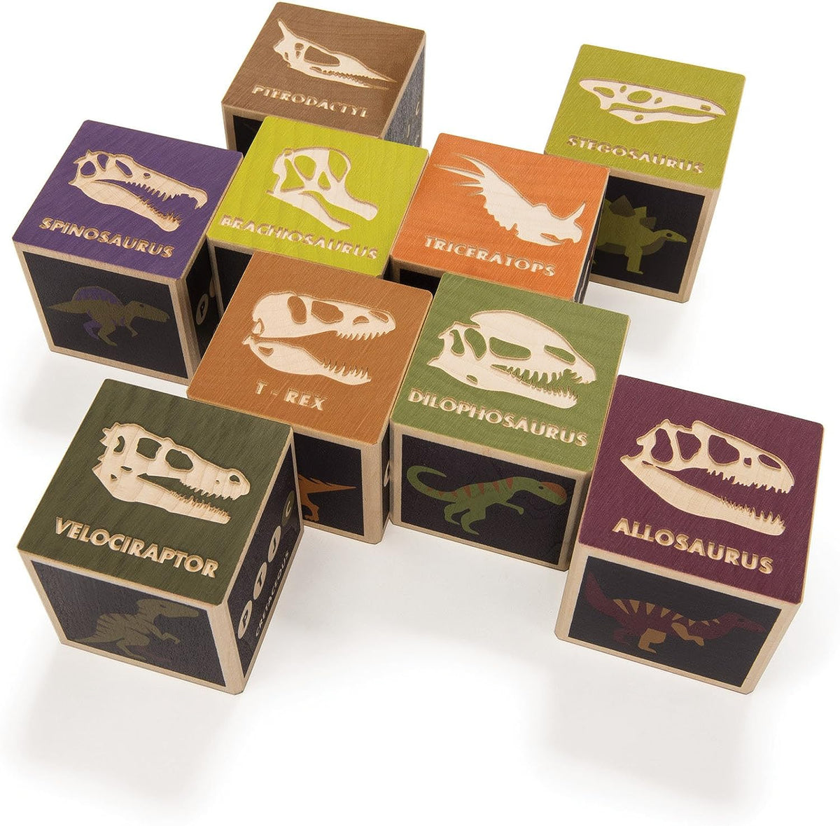 Dinosaur Wooden Blocks 9 pc