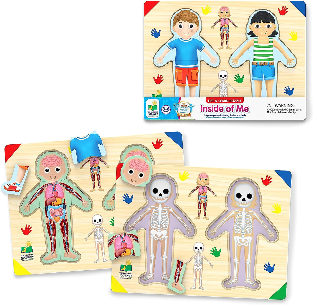 Lift and Learn Puzzle: Inside of Me