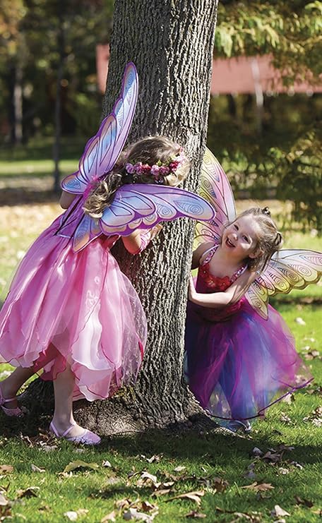 Butterfly Twirl Dress with Wings
