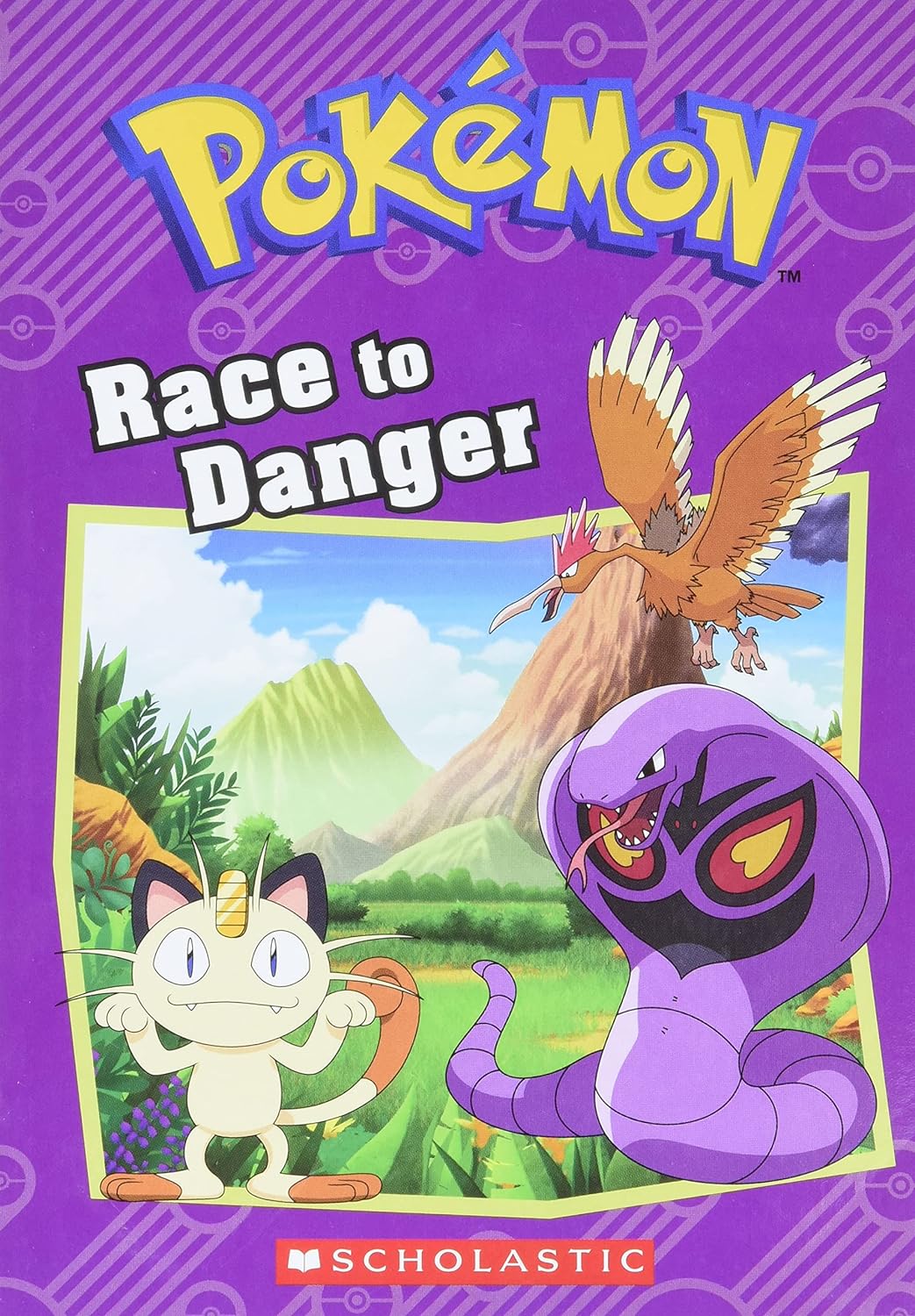 Pokemon: Race To Danger Chapter Book