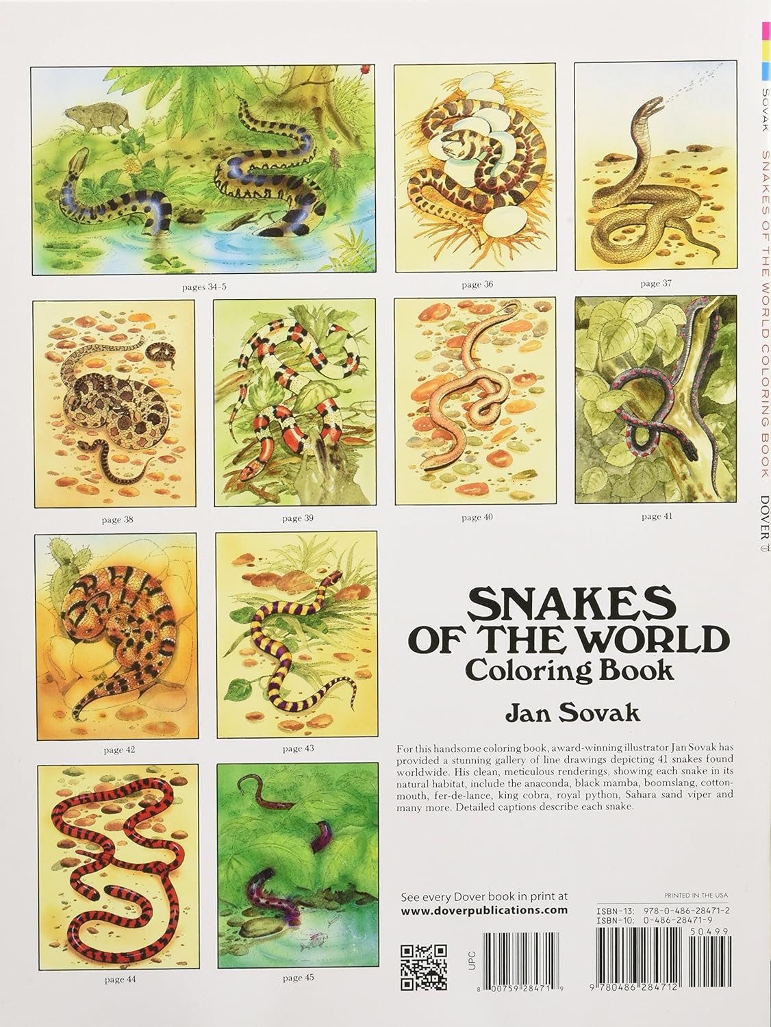 Snakes Of The World Coloring Book