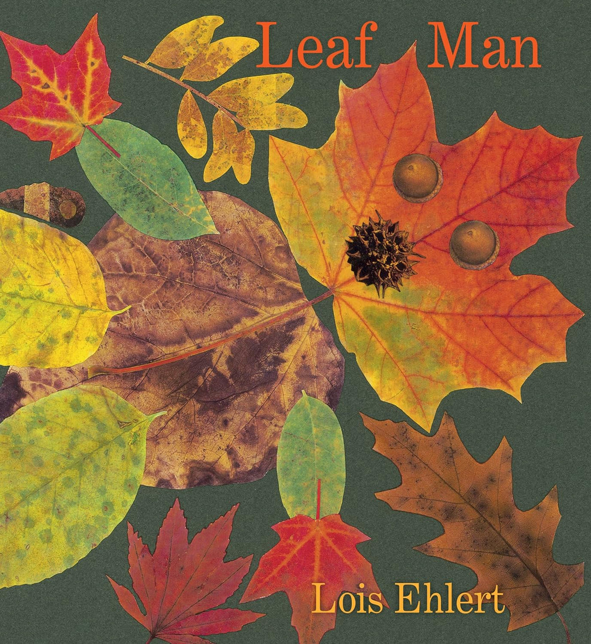 Leaf Man Lois Ehlert
