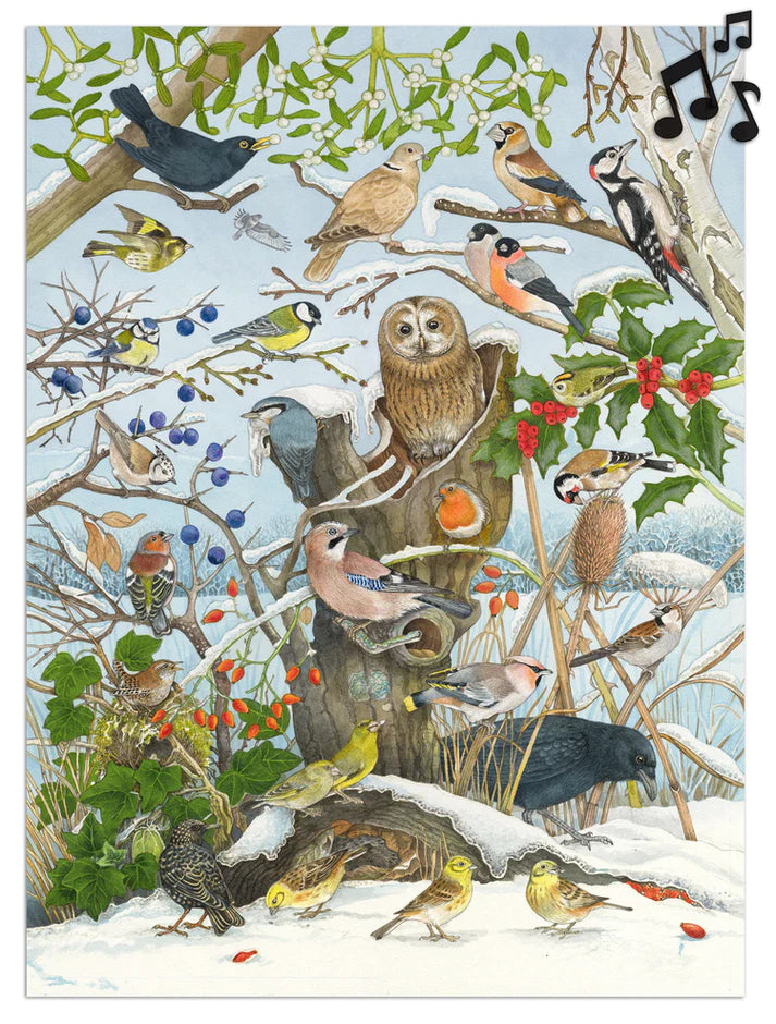 Birds of Winter Musical Advent Calendar