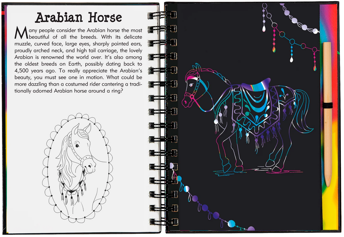 Scratch And Sketch: Horses