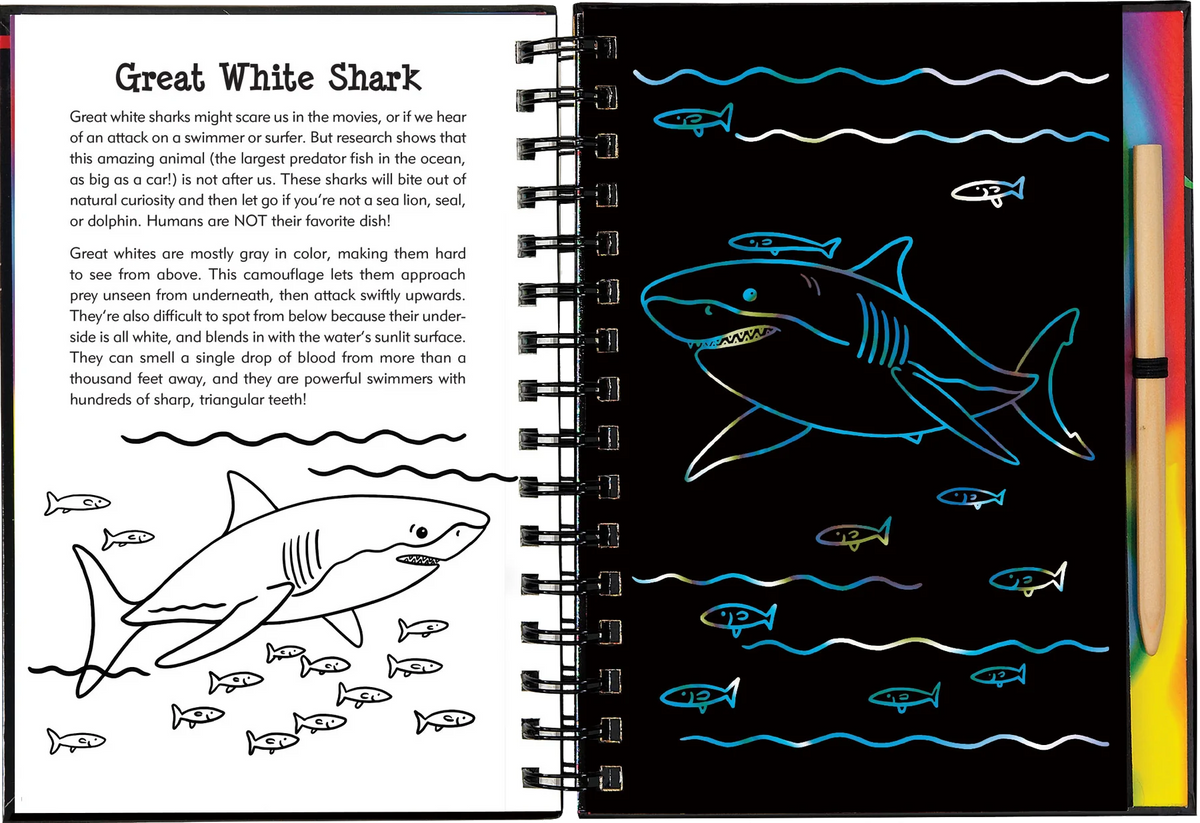Scratch And Sketch: Sharks