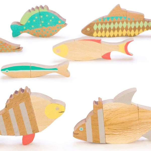 Eperfa Wood Magnetic Fish Puzzle