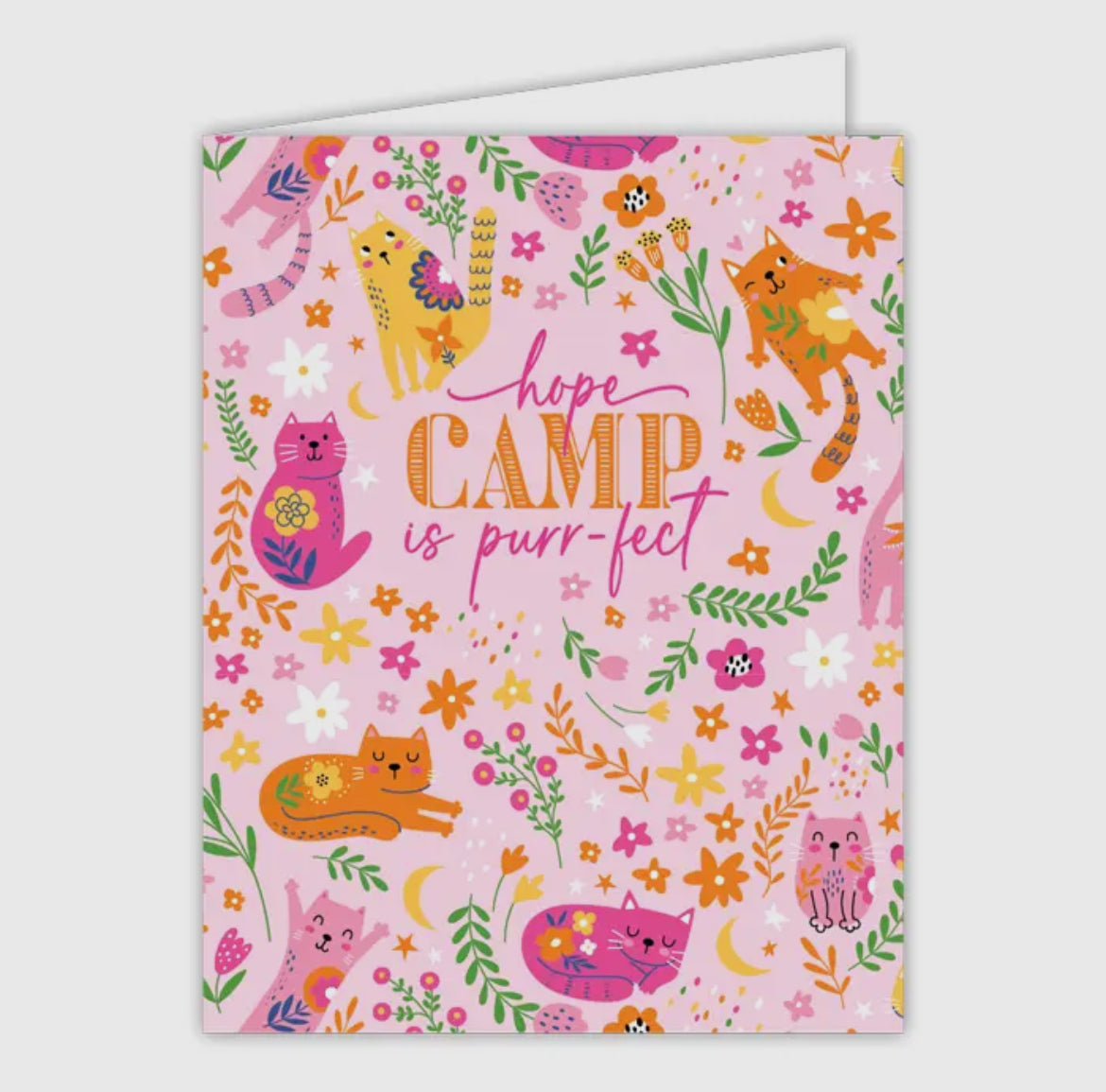 Camp Greeting Cards
