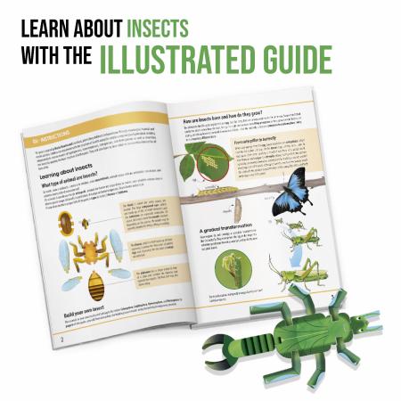 Insect Builder