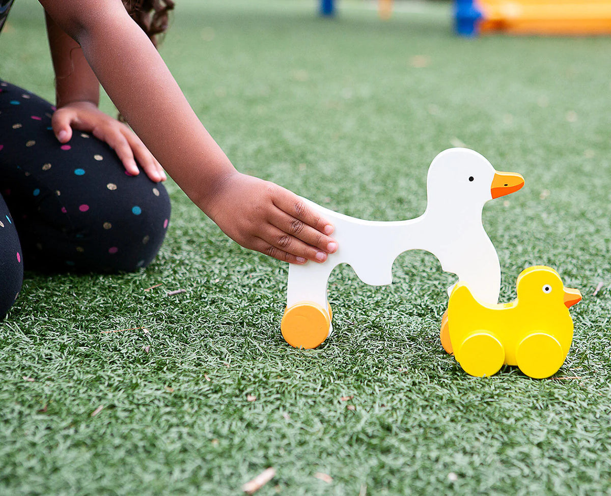 Big &amp; Little Duck Push Toy