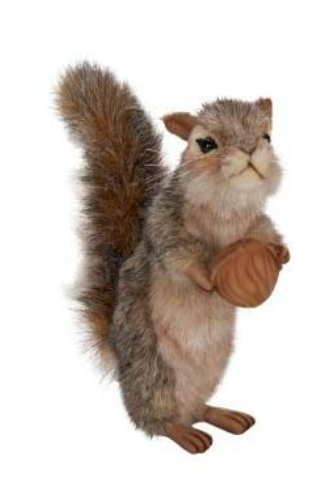 Squirrel W/ Nut Gray Standing 8”