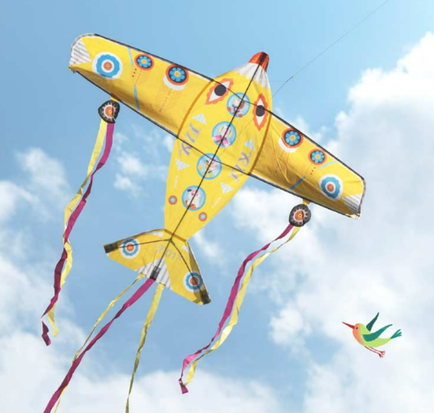 Maxi Plane Kite