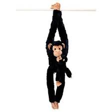 Hanging Baby Chimpanzee