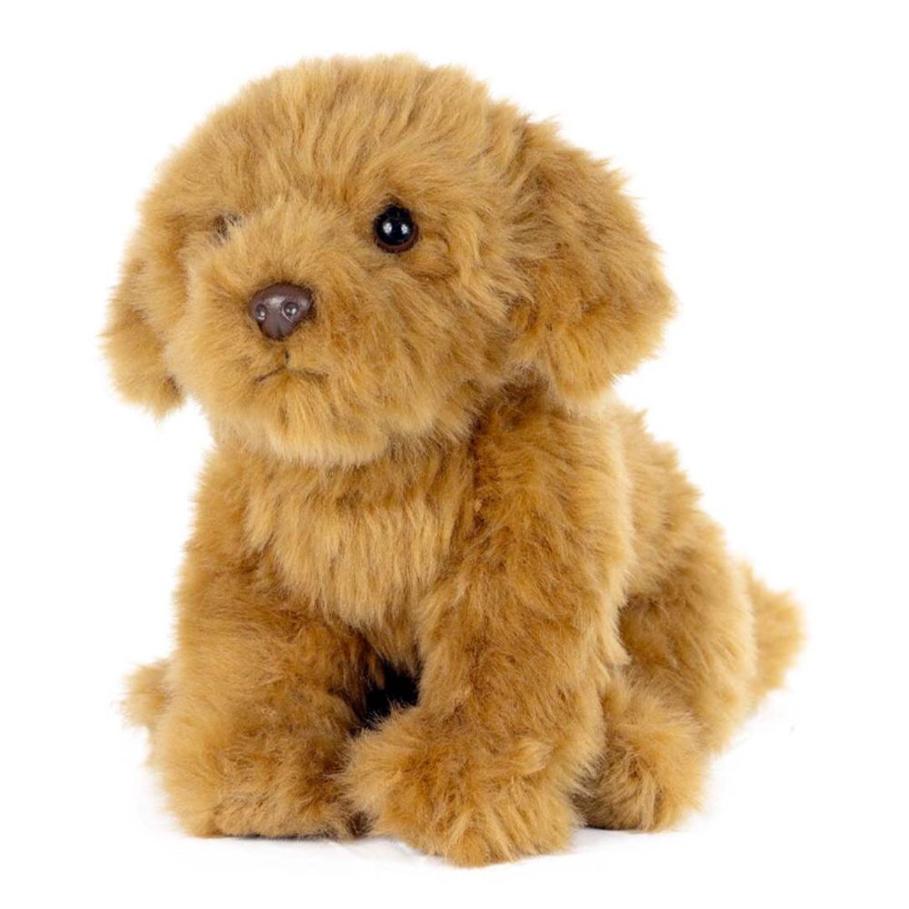 Cavapoo