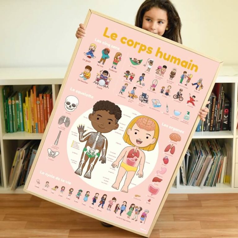 Poppik Stickers Panorama: Human Body