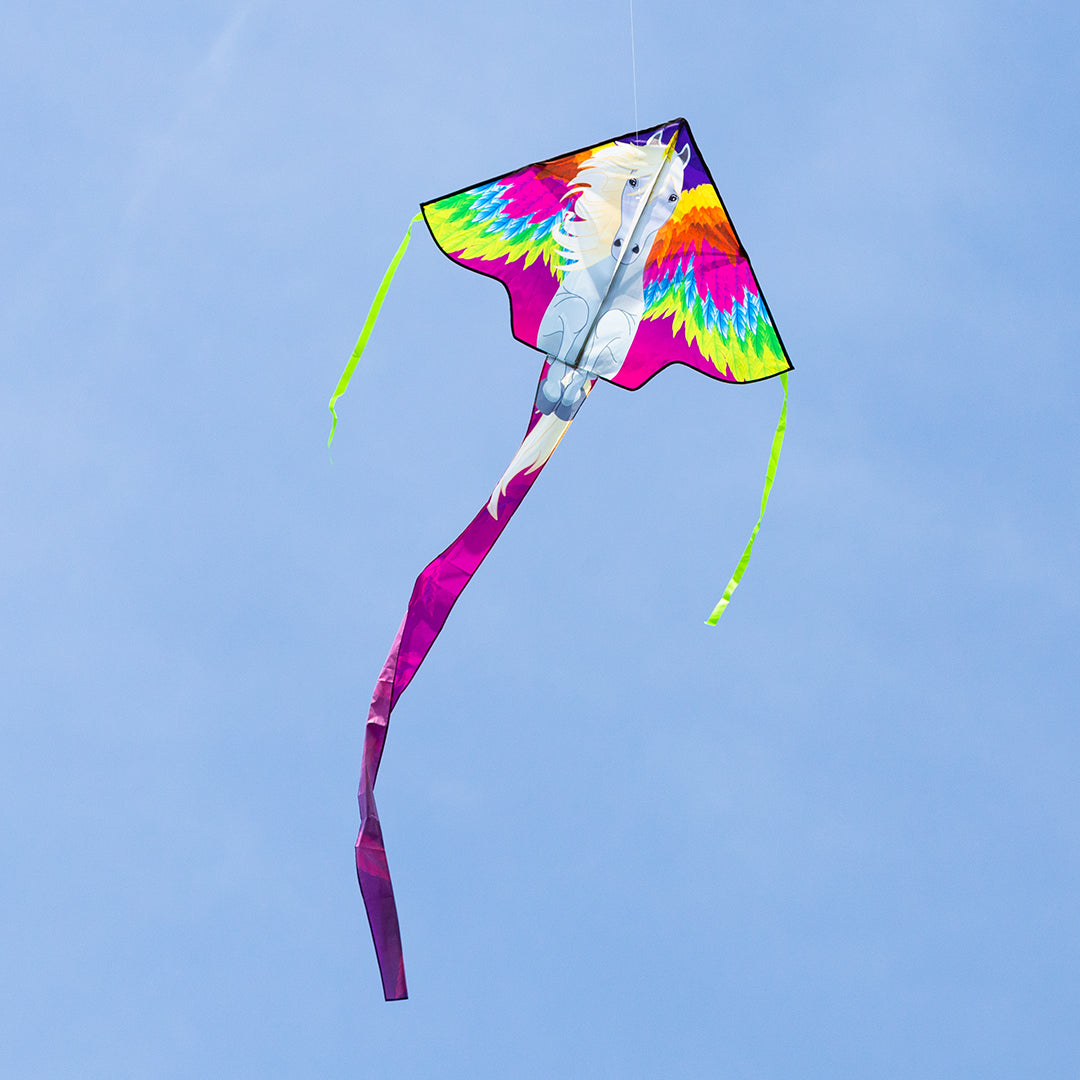Kite Simple Flyer Pegasus 120cm