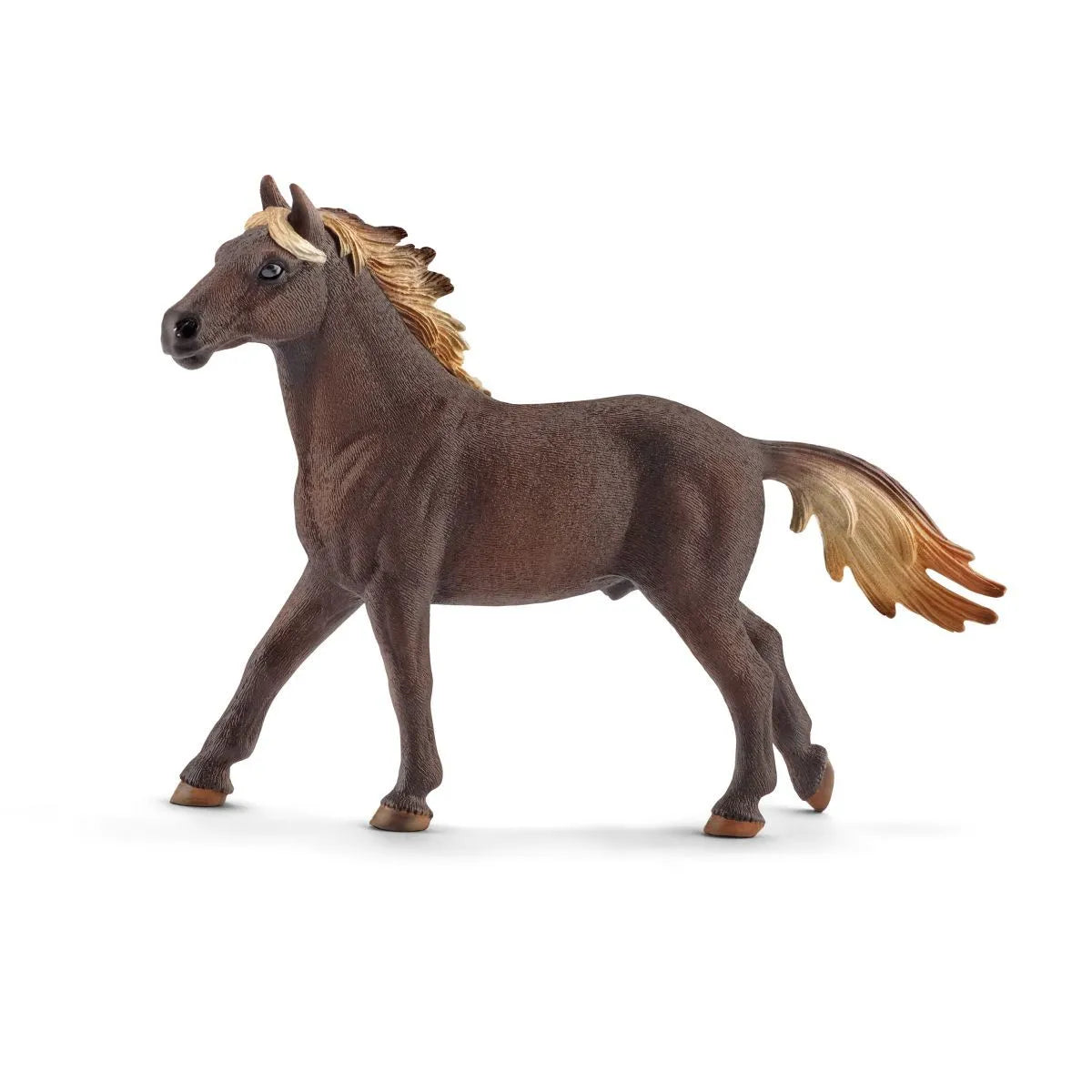 Mustang Stallion Horse