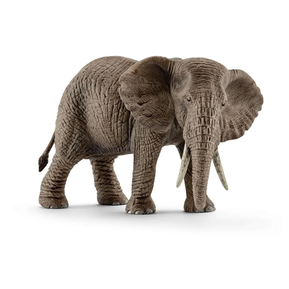 African Elephants