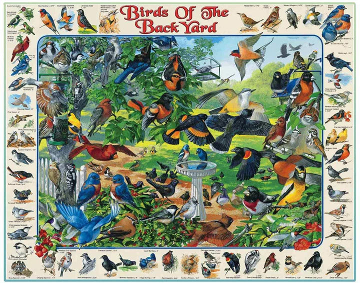 Birds Of The Backyard 1000 Piece Puzzle