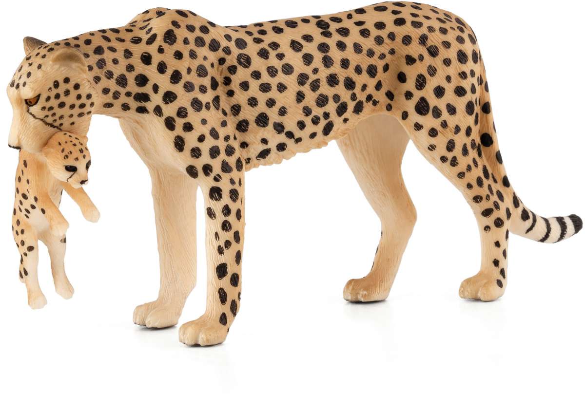 Mojo Cheetah With Cub