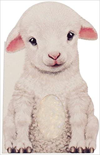 Furry Lamb board book