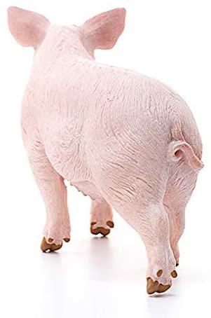 Pig Sow