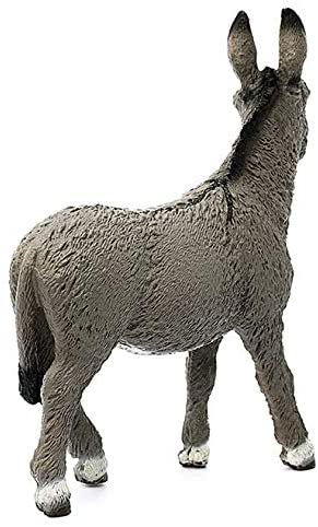 Donkey