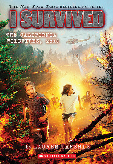 I SURVIVED Paperback Series