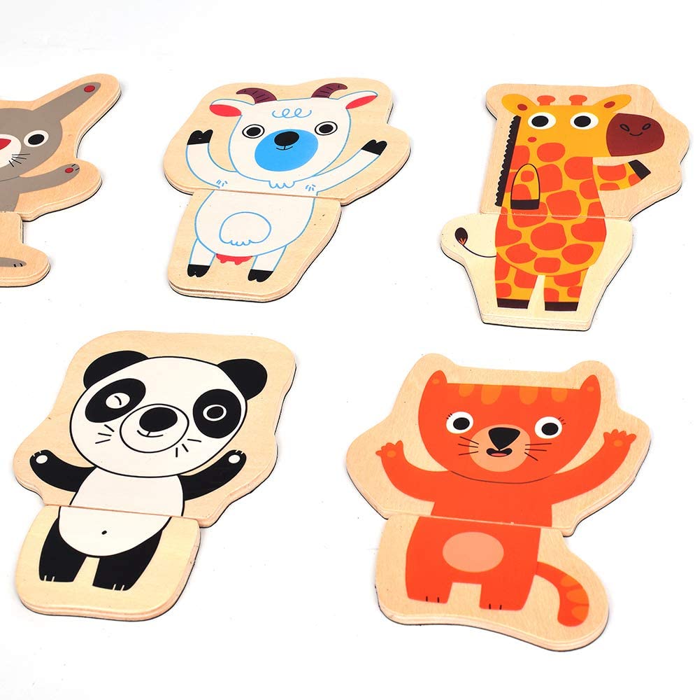 DJECO Magnets Coucou