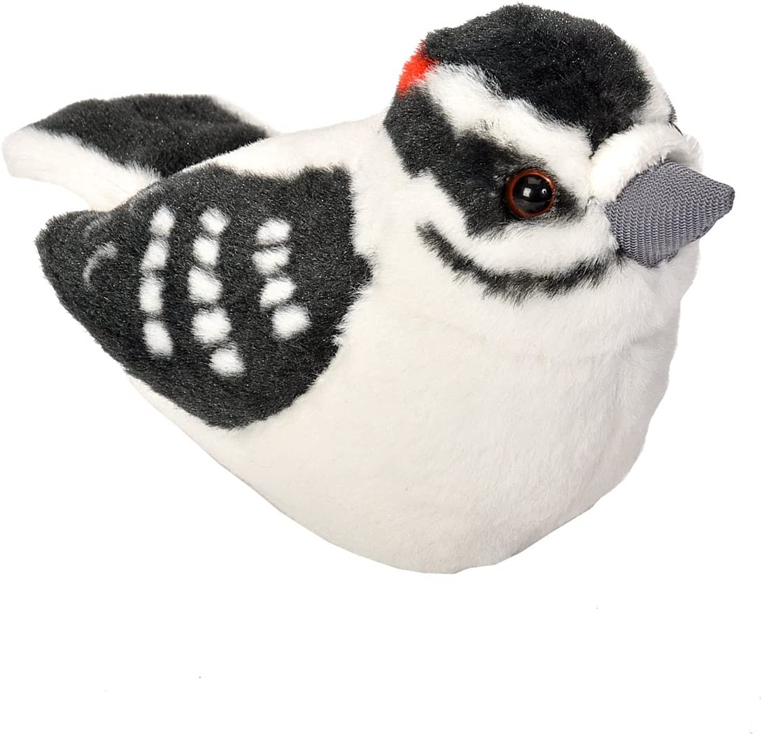 Audubon Bird - Downy Woodpecker