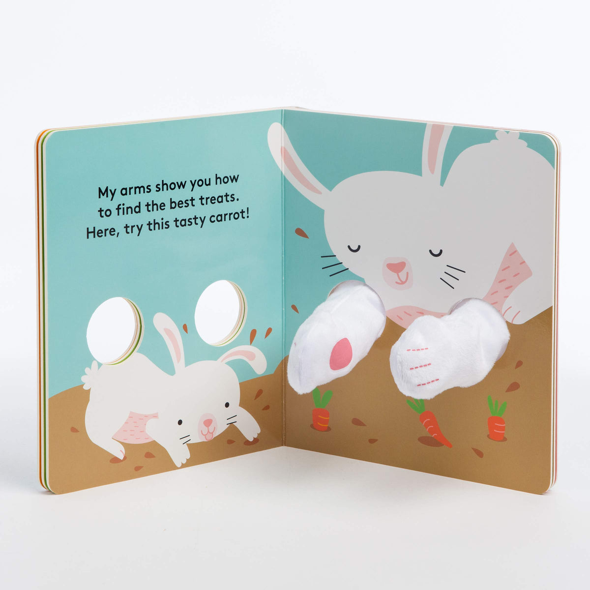 Hug Me Little Bunny Board Book