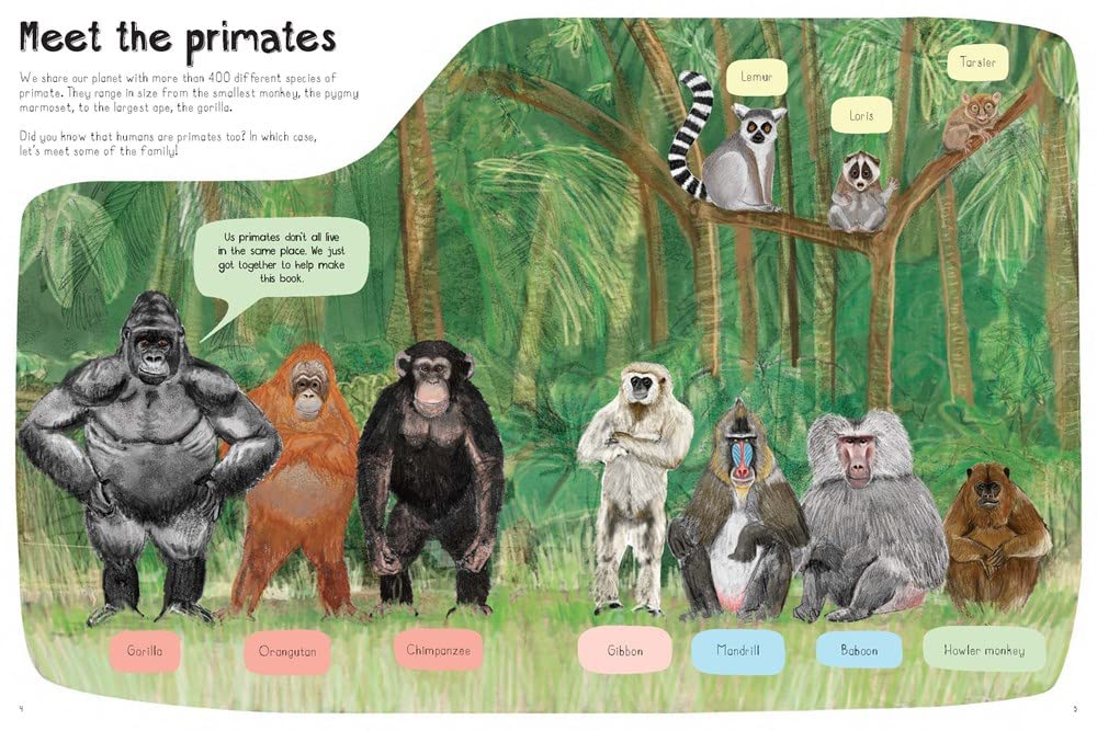 A book of Monkeys (and other primates)